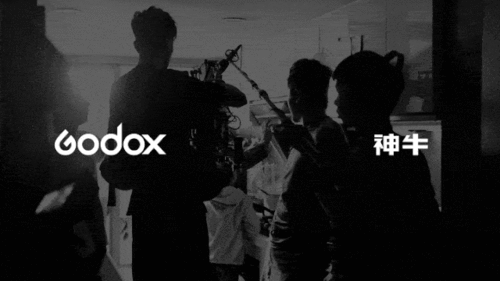 神牛影院,探索影视世界的奇幻之旅